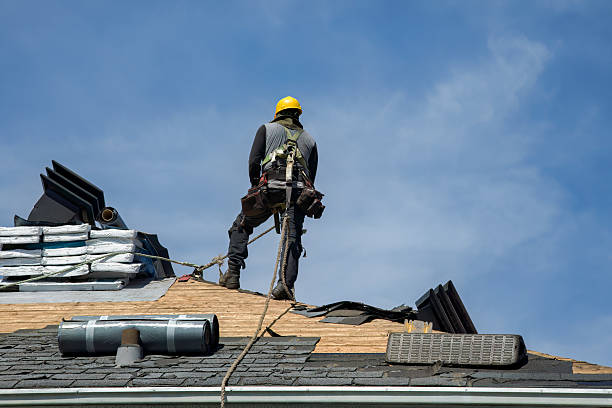 Professional Emergency Roof Repair technician working in Hallandale, FL
